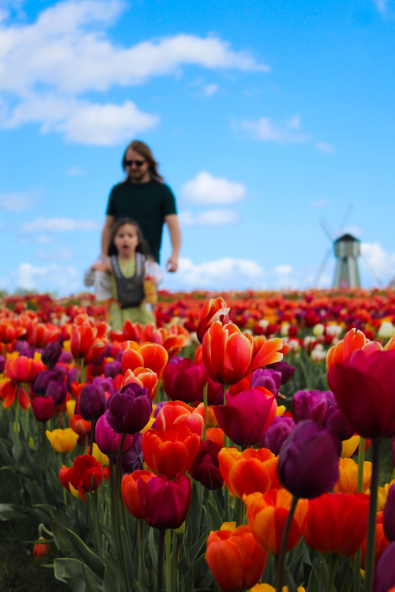 A day out at Farmer Copleys’ tulip festival 2026